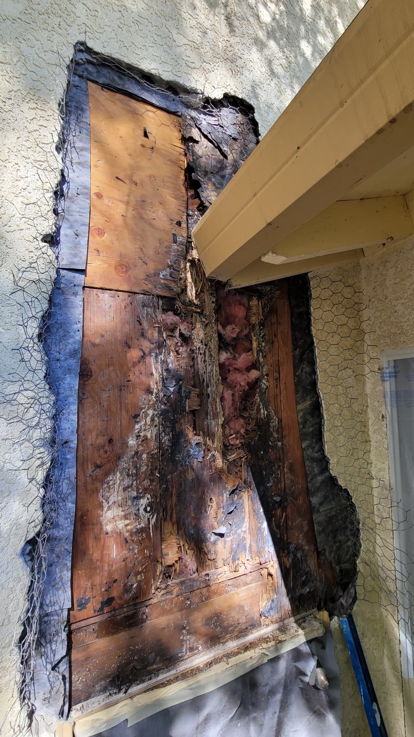 Severe concealed wood rot exposed where a gutter and roof structure meet a stucco wall