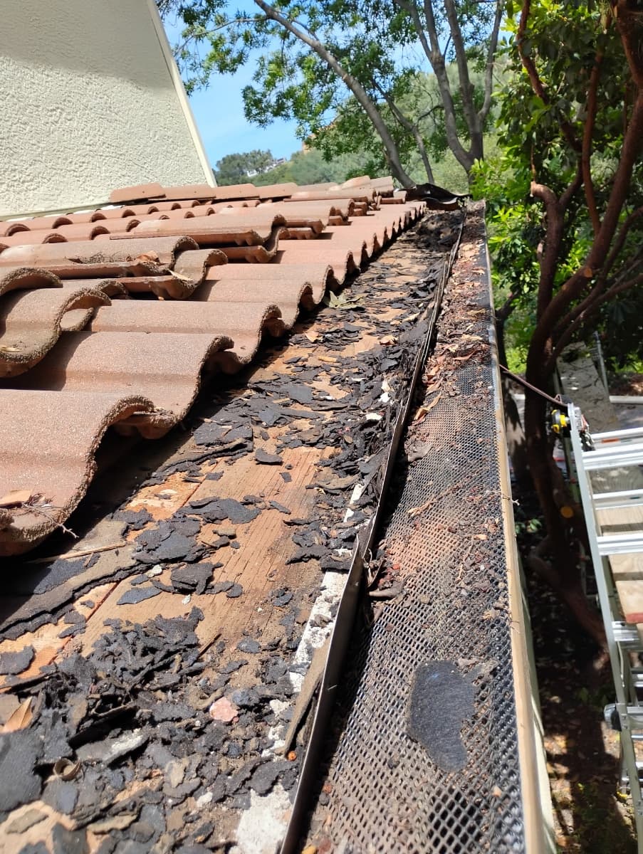Deteriorated roof-edge underlayment exposed beside concrete roof tiles during leak repair